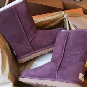 Brand New Uggs Short Wine
